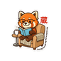 Red Panda Reading